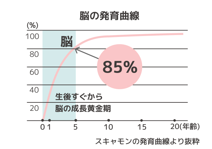 脳の発育曲線のグラフ。生後すぐから脳の成長黄金期に入る。