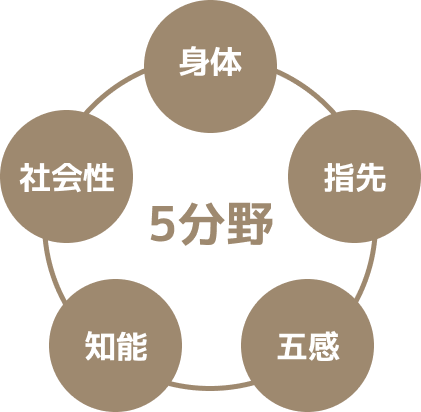 イクモの育脳アプローチの5分野のイメージ図